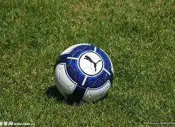 雷蛇炼狱蝰,极速版,无线鼠标战,米乐体育平台,米乐体育官方网站,米乐体育登录入口,米乐体育app下载