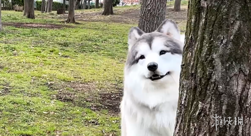 博洛尼亚豪,取三连胜,客场能否再,米乐体育平台,米乐体育官方网站,米乐体育登录入口,米乐体育app下载