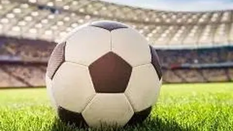 米乐体育 产品 084455 amj