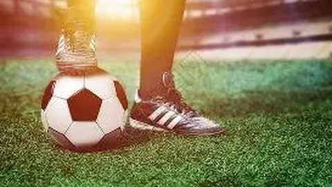 米乐体育 资讯 084354 12m