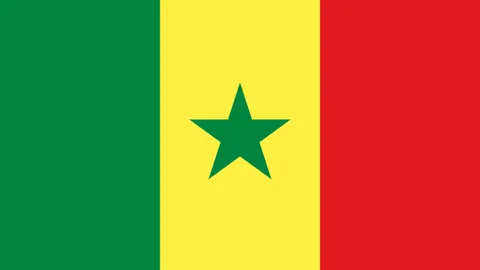 “焦点对决引热议：埃迪-豪力挺点球判罚，对方后卫失误成焦点，真相究竟如何？”